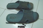 Anhso39puma